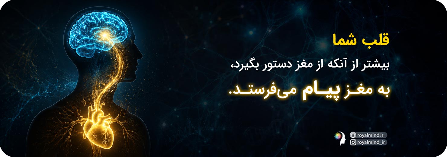 انسجام قلب و مغز