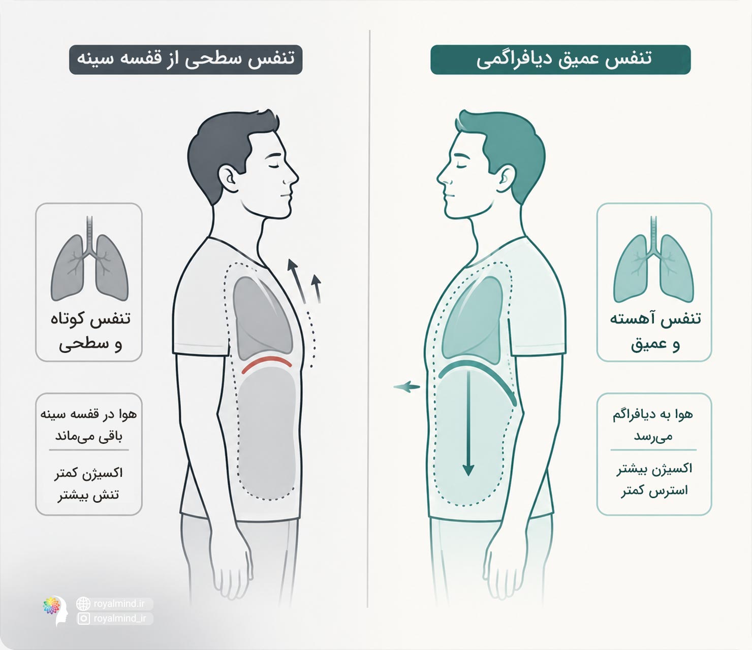 تنفس دیفراگمی و گیرایی صدای ثروتمندانه