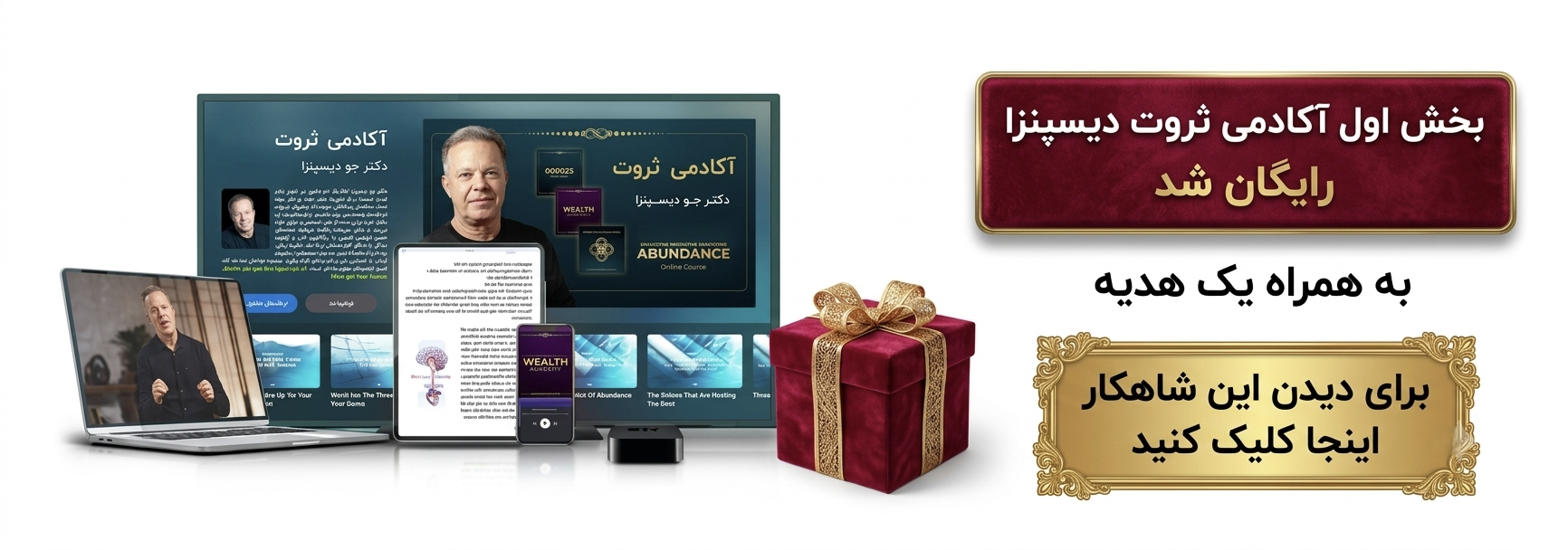 هدیه آکادمی ثروت دیسپنزا